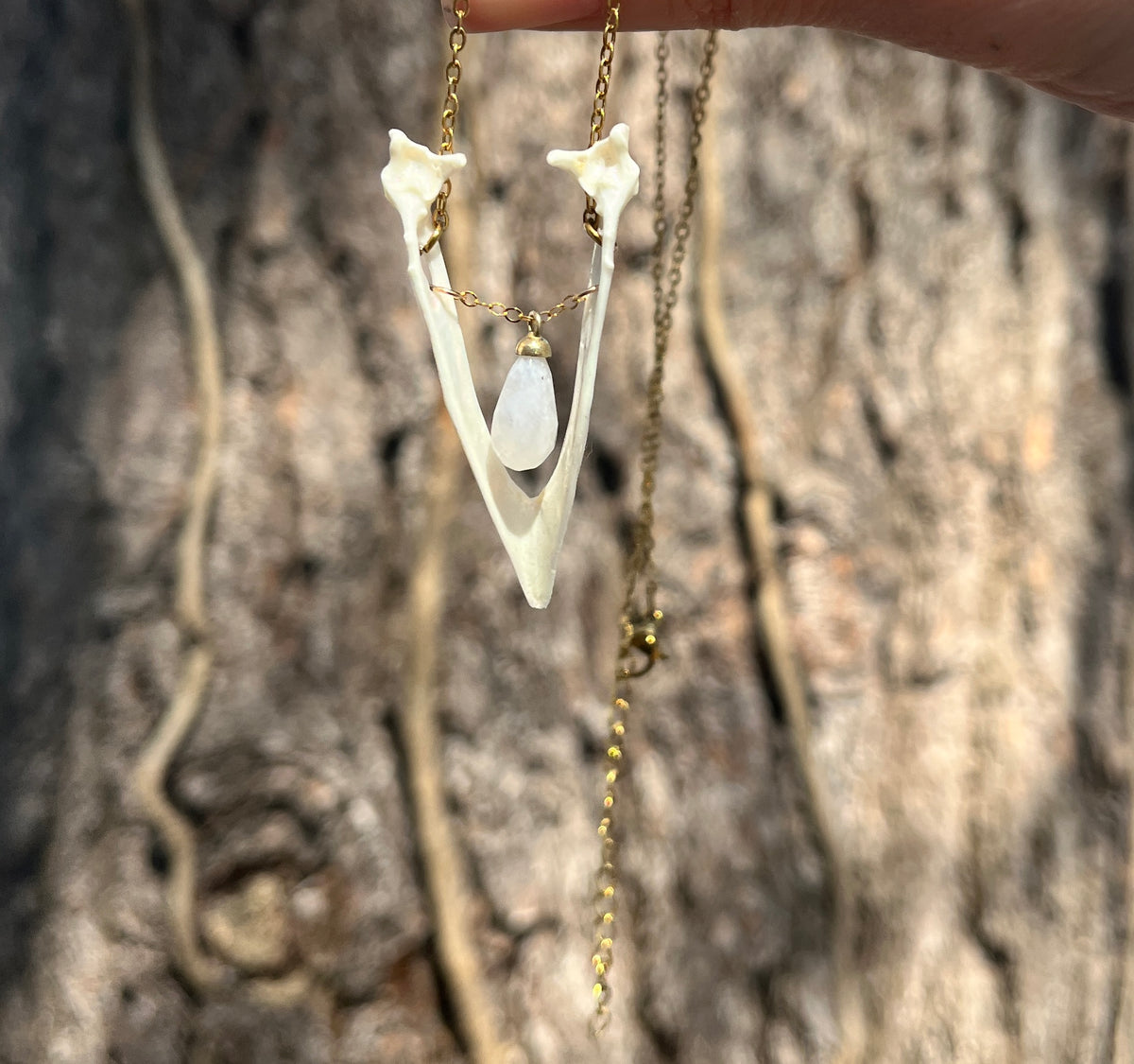 Real Magpie Jaw Bone Necklace | Ethically Sourced Avian Relic Pendant