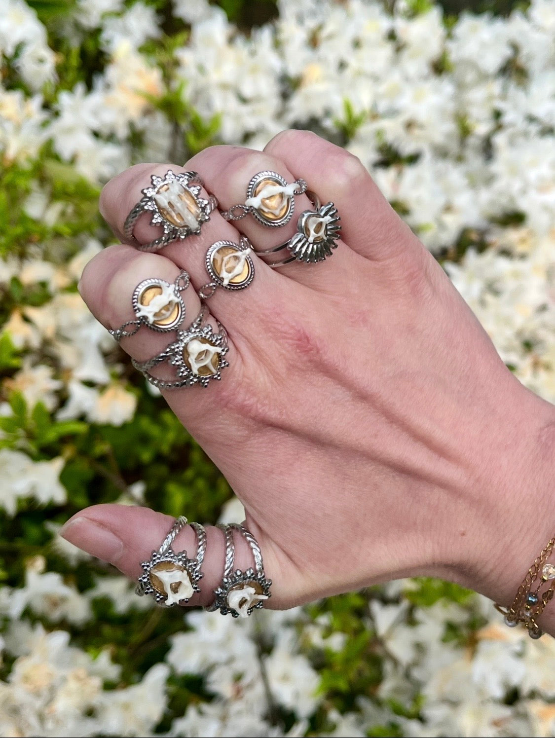 Micro Vertebrae Relic Mystery Ring