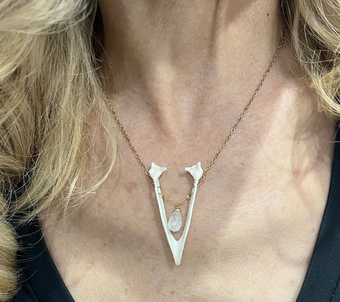 Real Magpie Jaw Bone Necklace | Ethically Sourced Avian Relic Pendant
