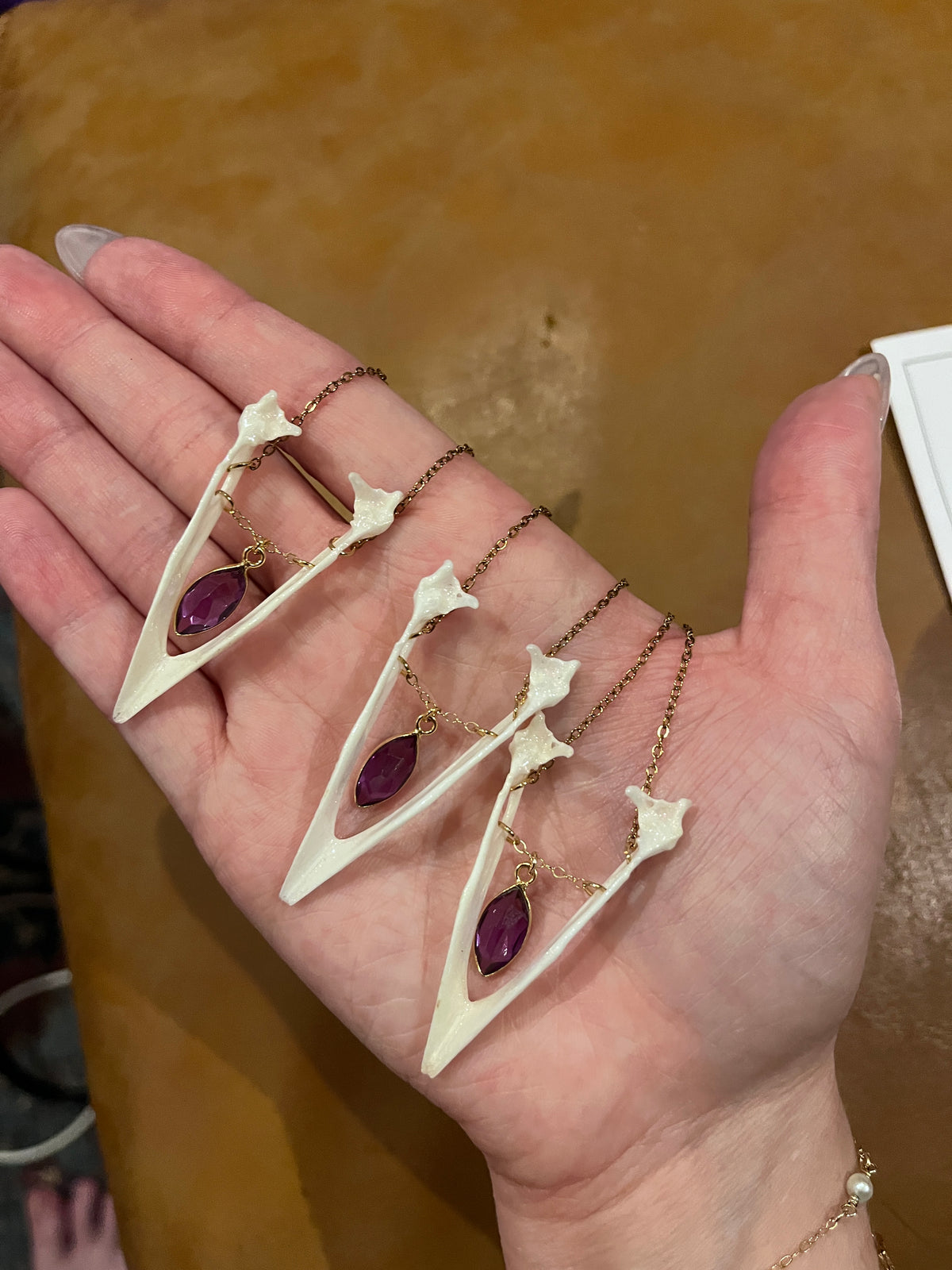 Real Magpie Jaw Bone Necklace | Ethically Sourced Avian Relic Pendant