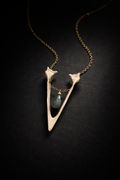 Real Magpie Jaw Bone Necklace | Ethically Sourced Avian Relic Pendant