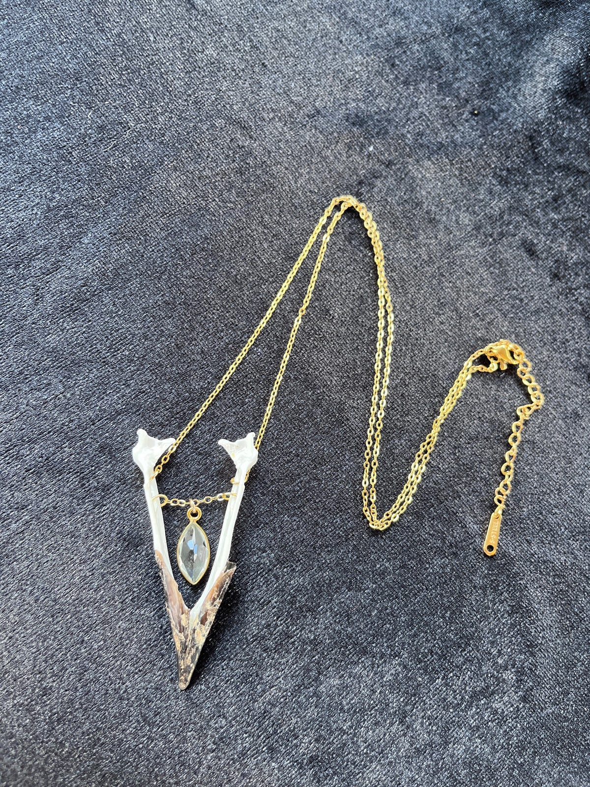 Real Magpie Jaw Bone Necklace | Ethically Sourced Avian Relic Pendant