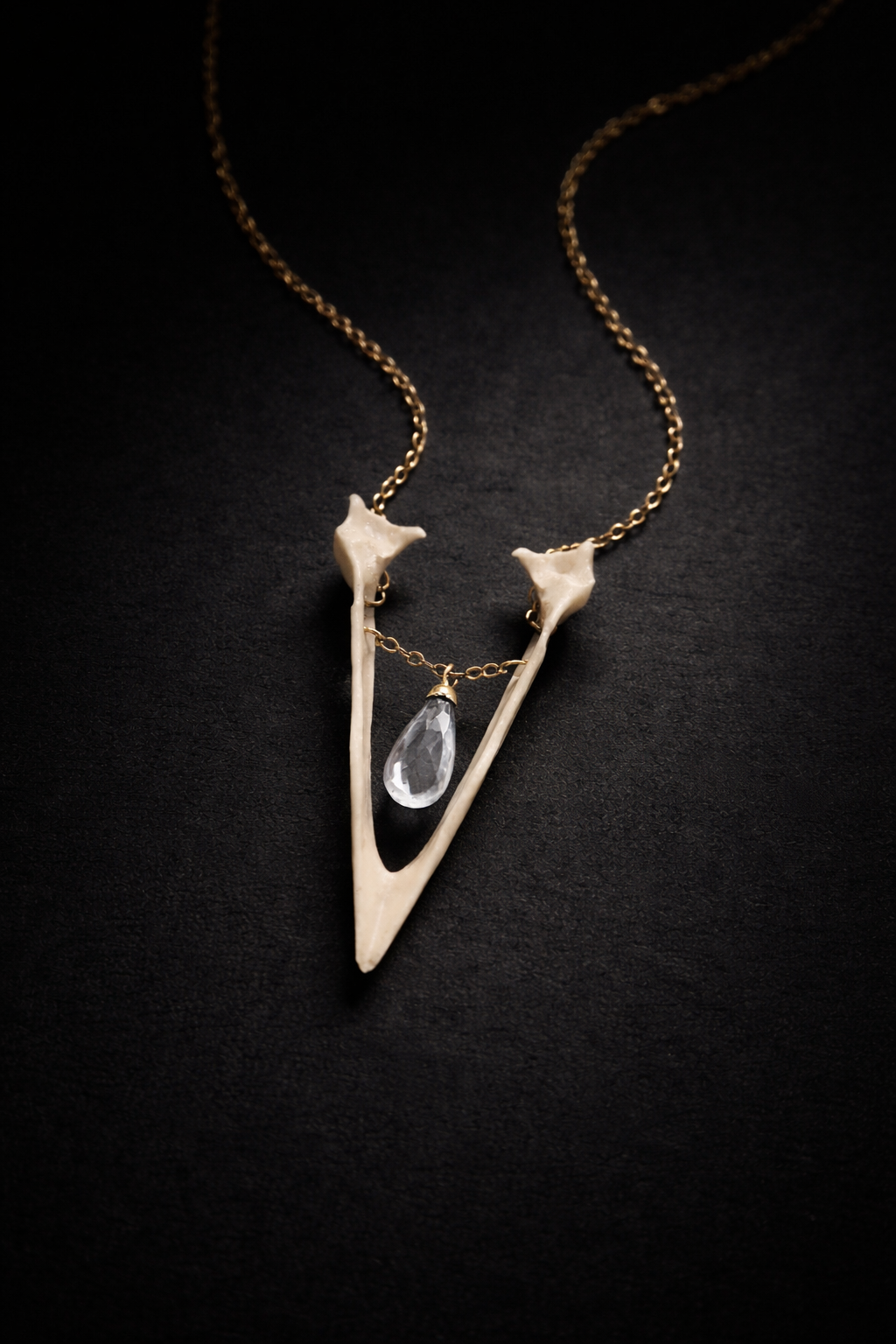 Real Magpie Jaw Bone Necklace | Ethically Sourced Avian Relic Pendant