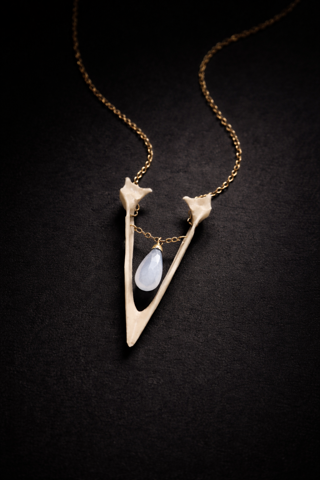 Real Magpie Jaw Bone Necklace | Ethically Sourced Avian Relic Pendant