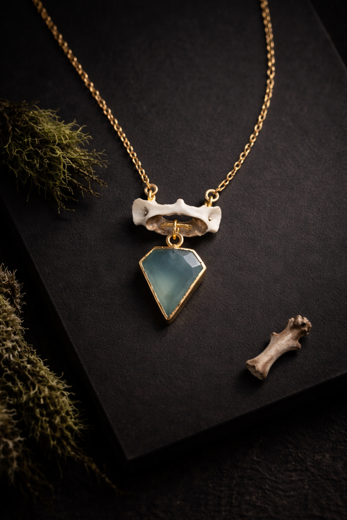 Real Squirrel Vertebrae Necklace with Aqua Chalcedony | Gold Bone Pendant | Ethical Oddities Jewelry