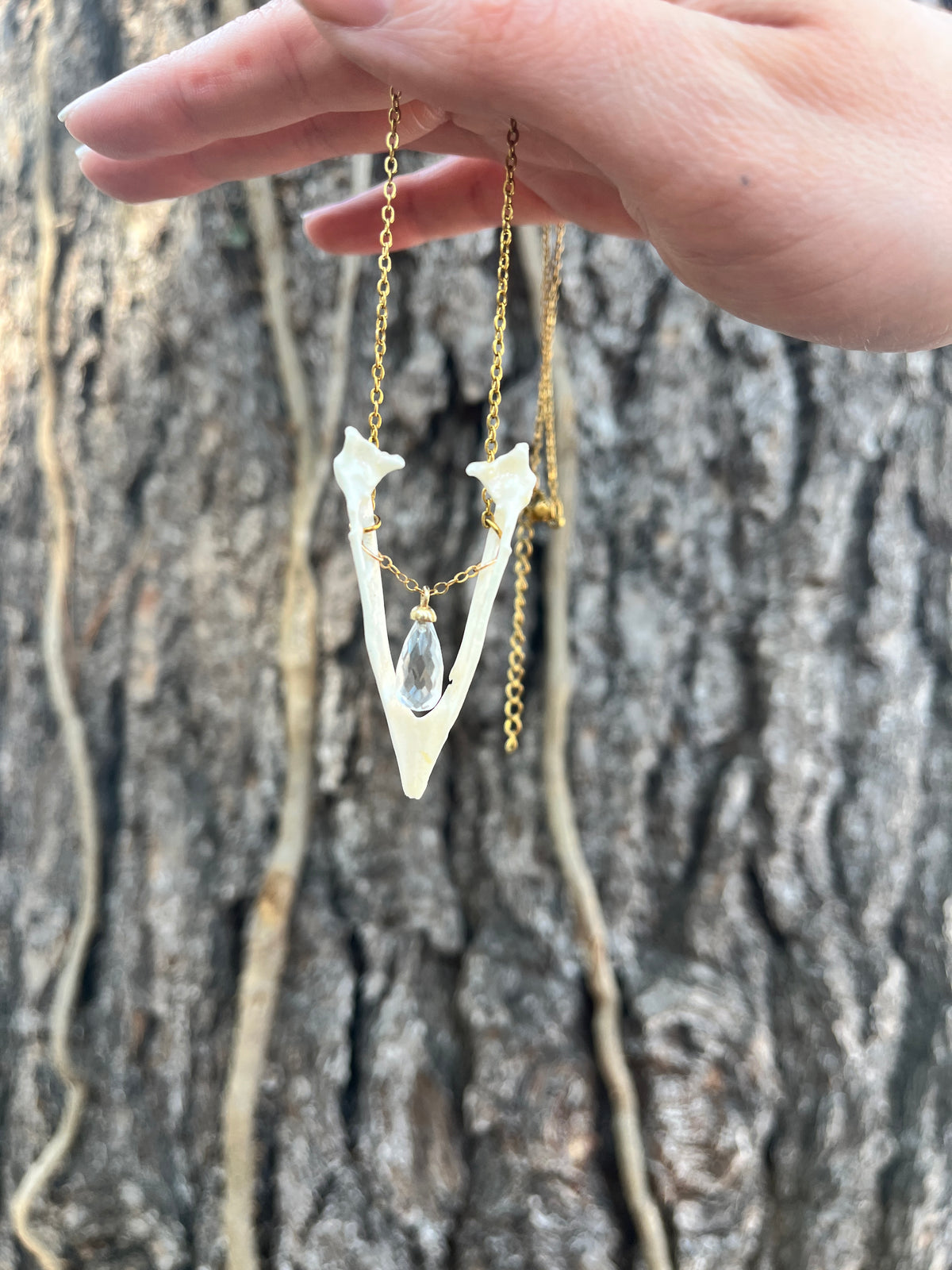 Real Magpie Jaw Bone Necklace | Ethically Sourced Avian Relic Pendant