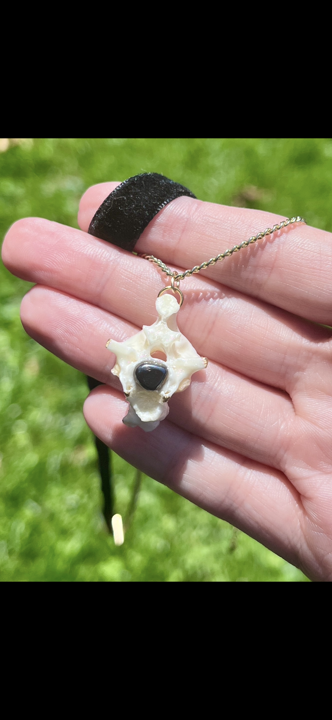 Python Vertebrae Relic Choker