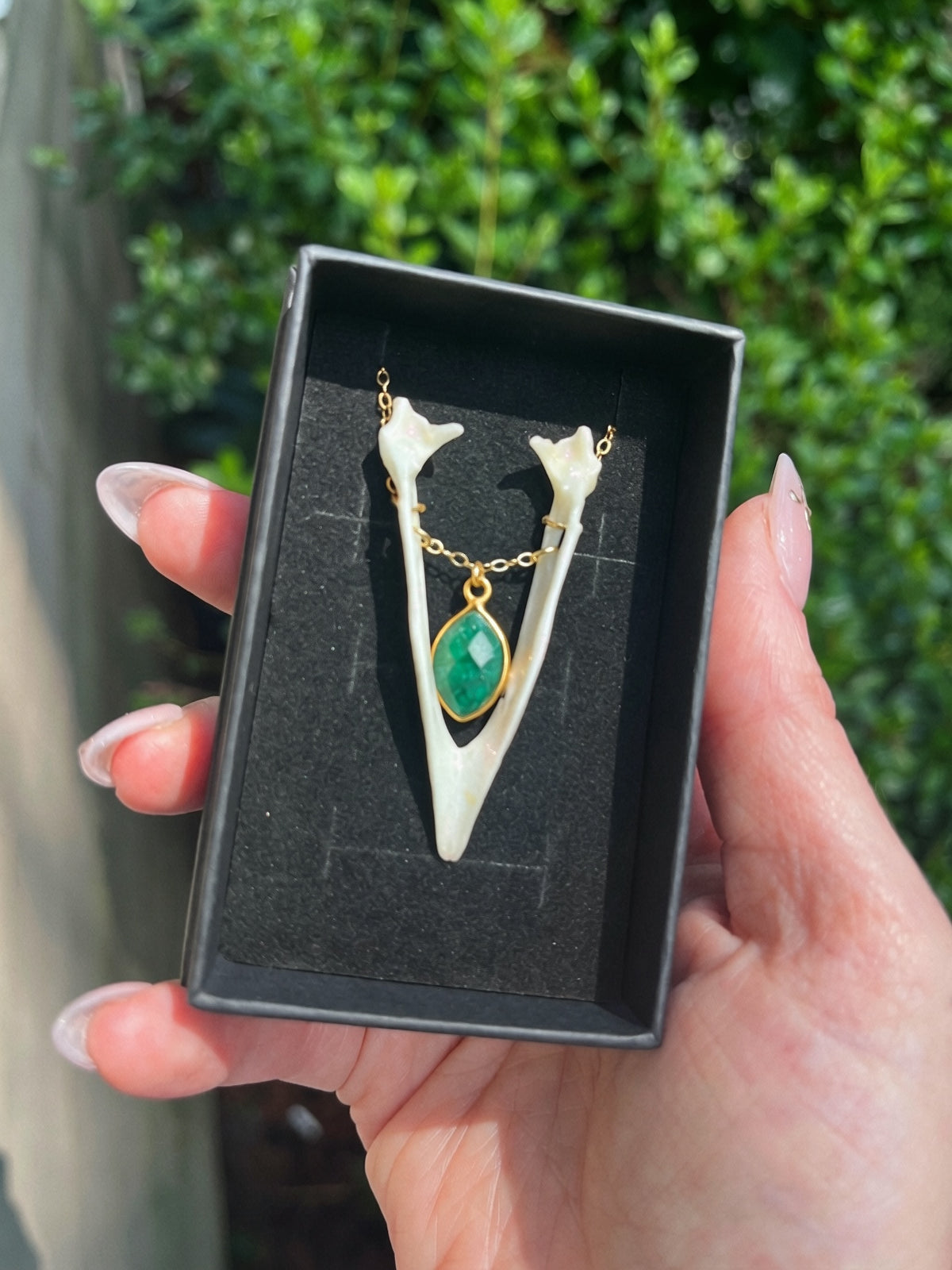 Real Magpie Jaw Bone Necklace | Ethically Sourced Avian Relic Pendant