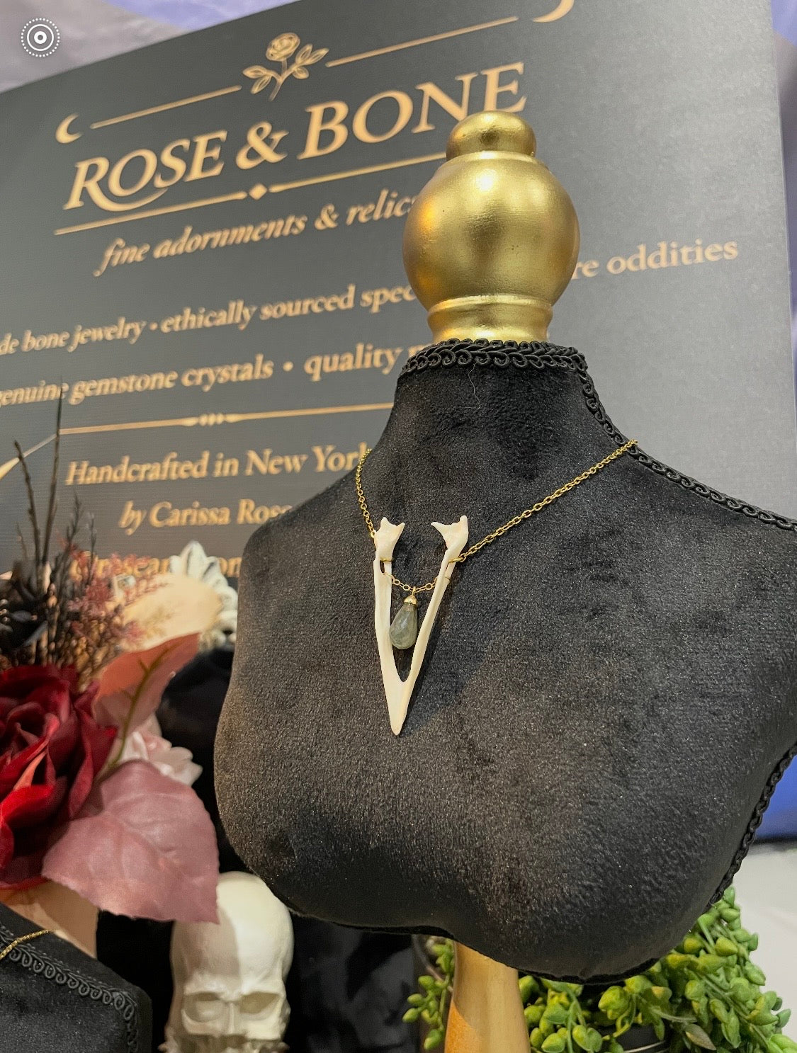 Real Magpie Jaw Bone Necklace | Ethically Sourced Avian Relic Pendant