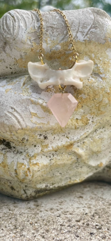 Pine Marten Vertebrae Rose Quartz Relic Necklace