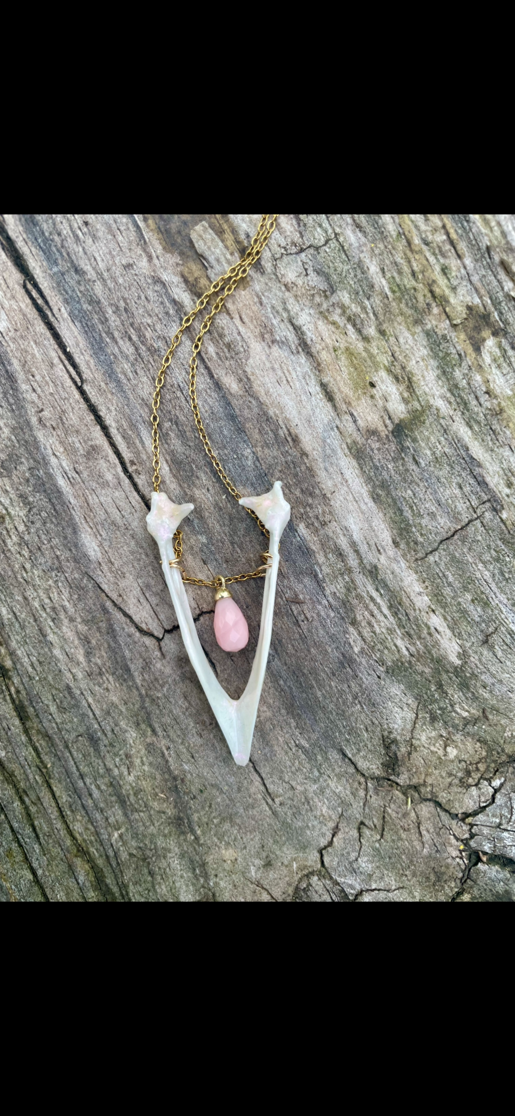 Real Magpie Jaw Bone Necklace | Ethically Sourced Avian Relic Pendant